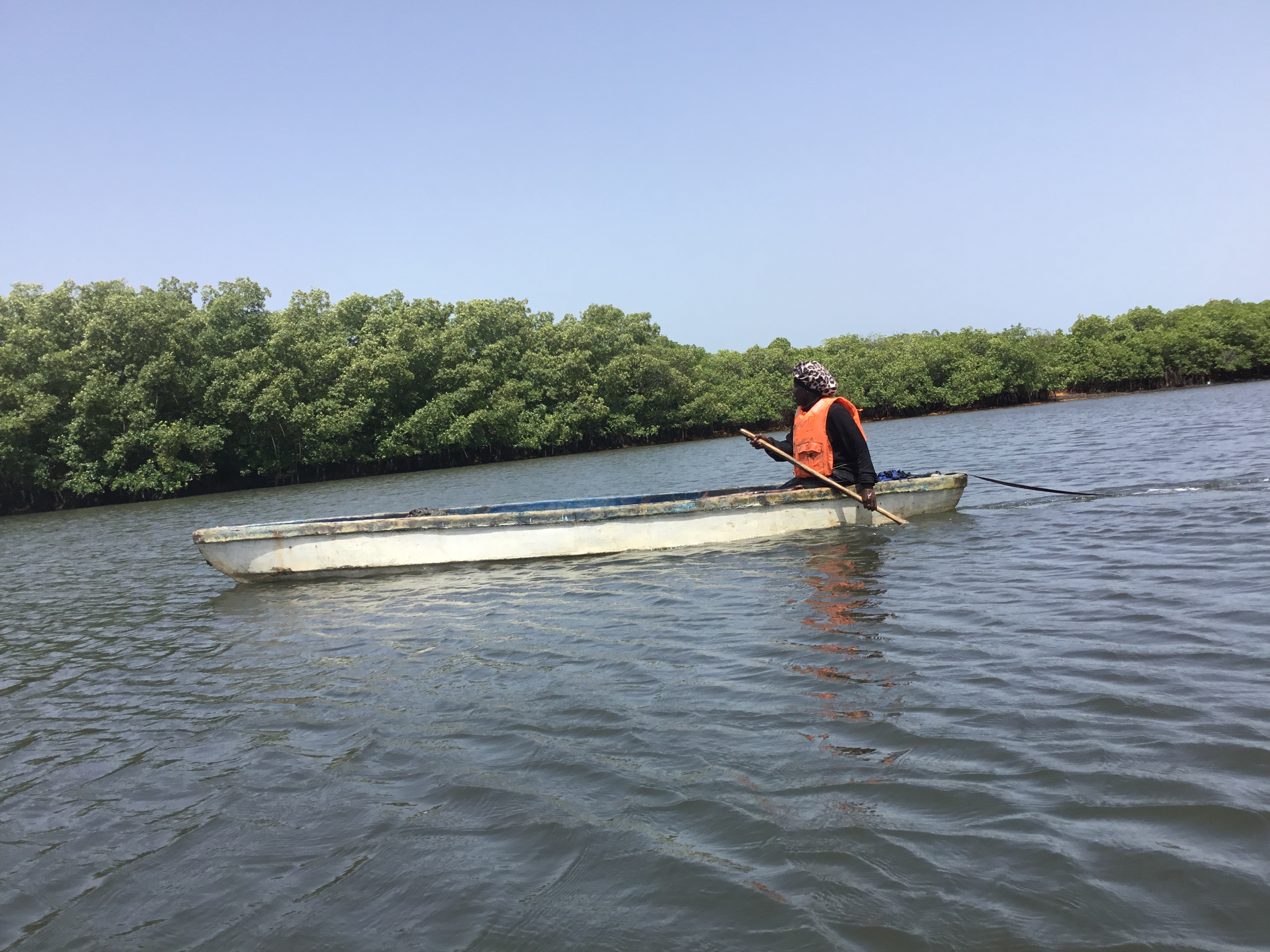 Fatou has planted and restored thousands of mangroves across the Tanbi Wetland, helping to revive an ecosystem that protects coastal communities and supports livelihoods [Name/Al Jazeera]