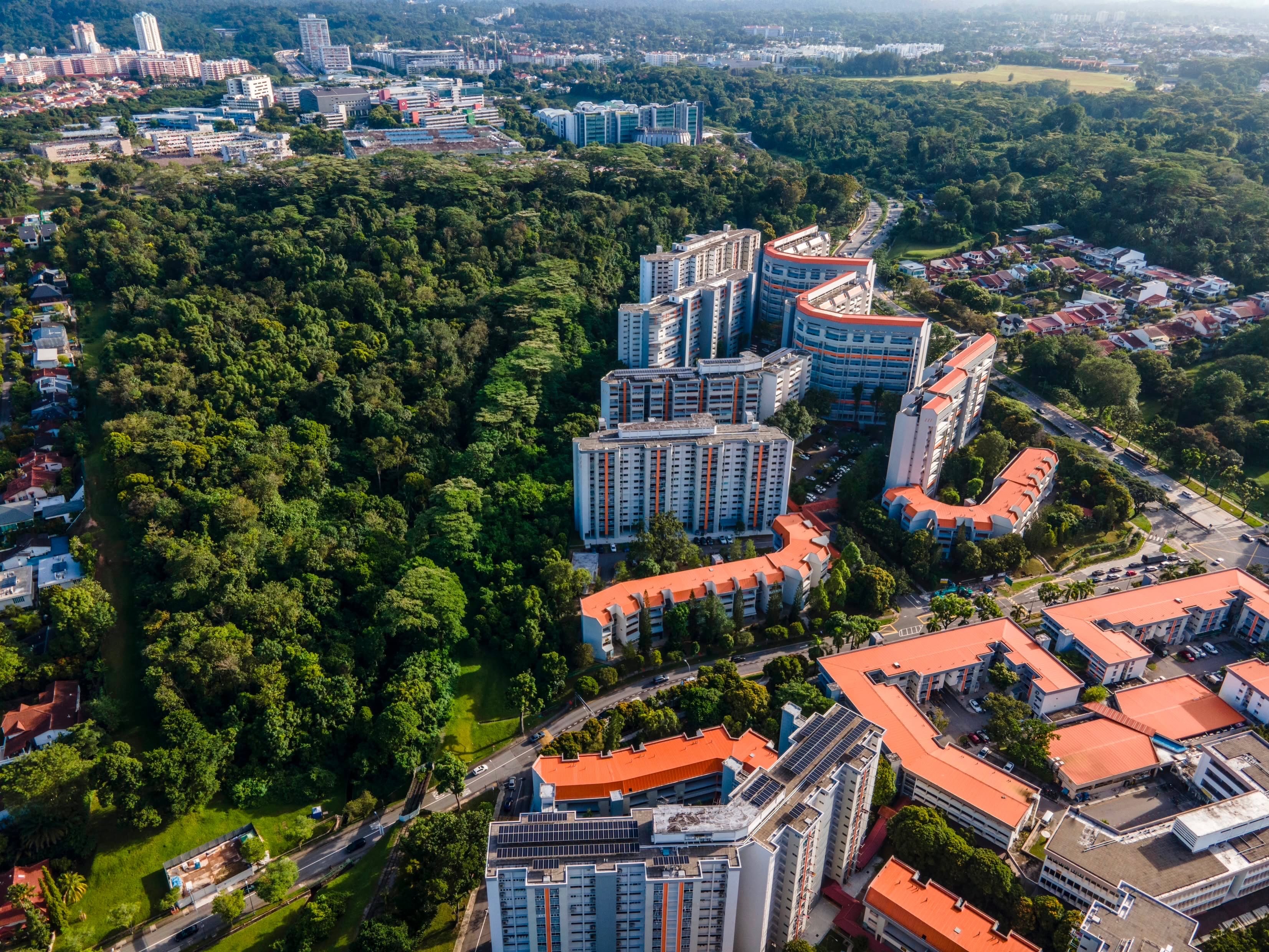 An aerial view of Singapore’s Maju Forest, which means 'progress' in Malay. Part of the forest is proposed to be cleared for public housing. Photo: Brice Li