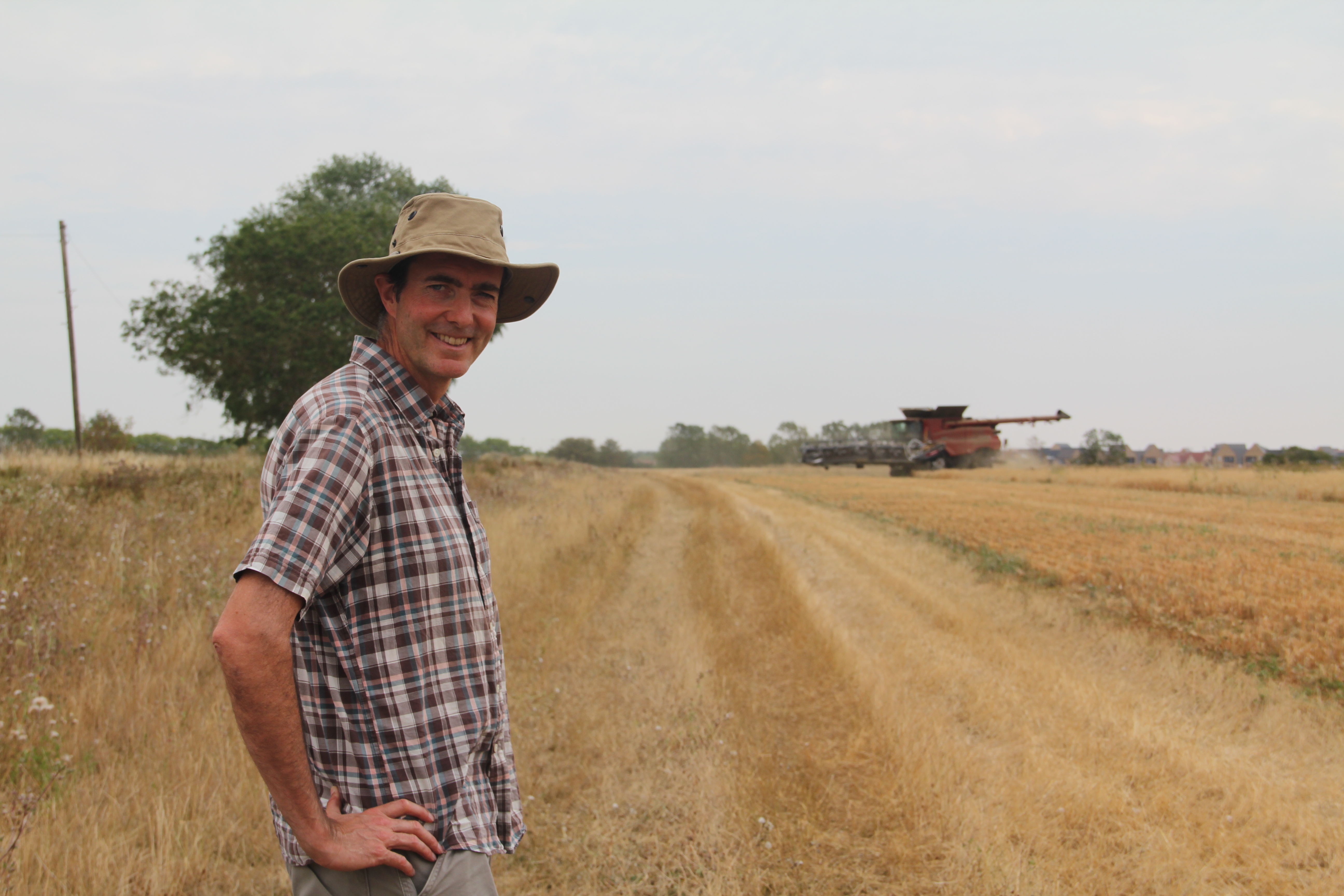 Tom Pearson on his family's farm near Cambridge, where he has spent over a decade shifting to regenerative methods [John Kjorstad/Al Jazeera]