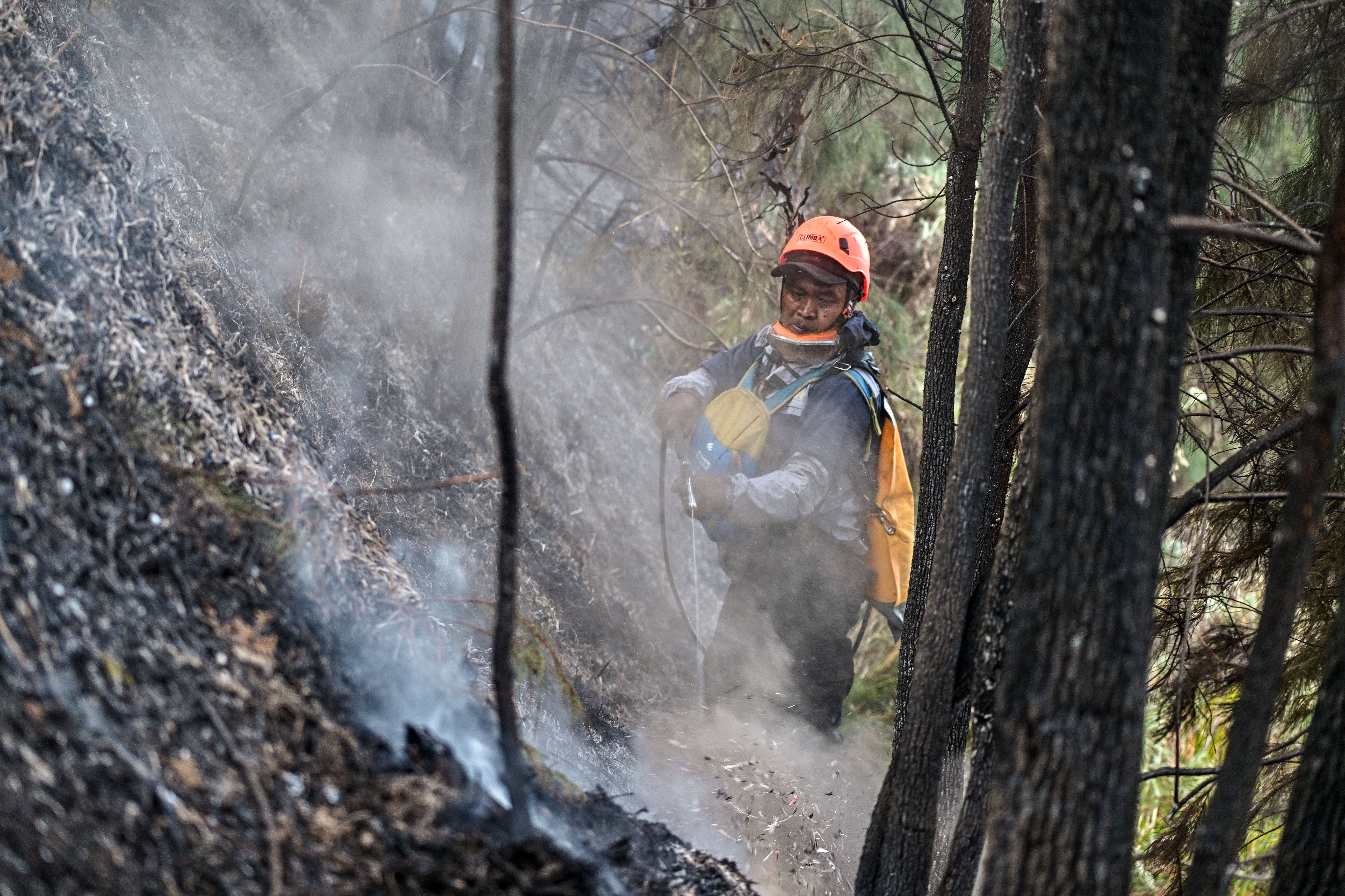 A volunteer battles a wildfire in the Bromo Tengger Semeru National Park near Mount Bromo in Pasuruan, East Java province on August 10, 2026. (Photo by JUNI KRISWANTO / AFP)