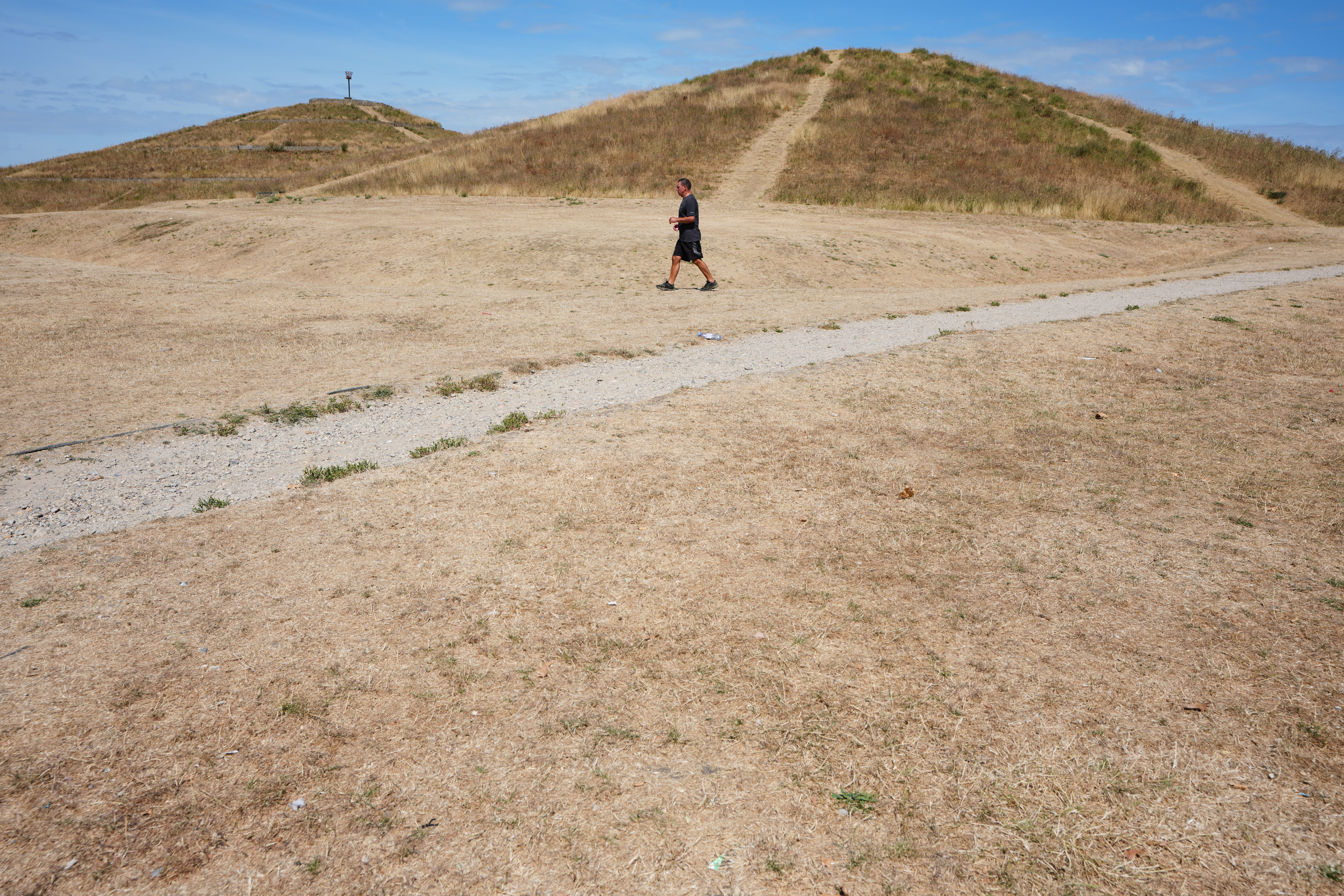 A man walks on dried grass in a park, amid drought conditions in London
