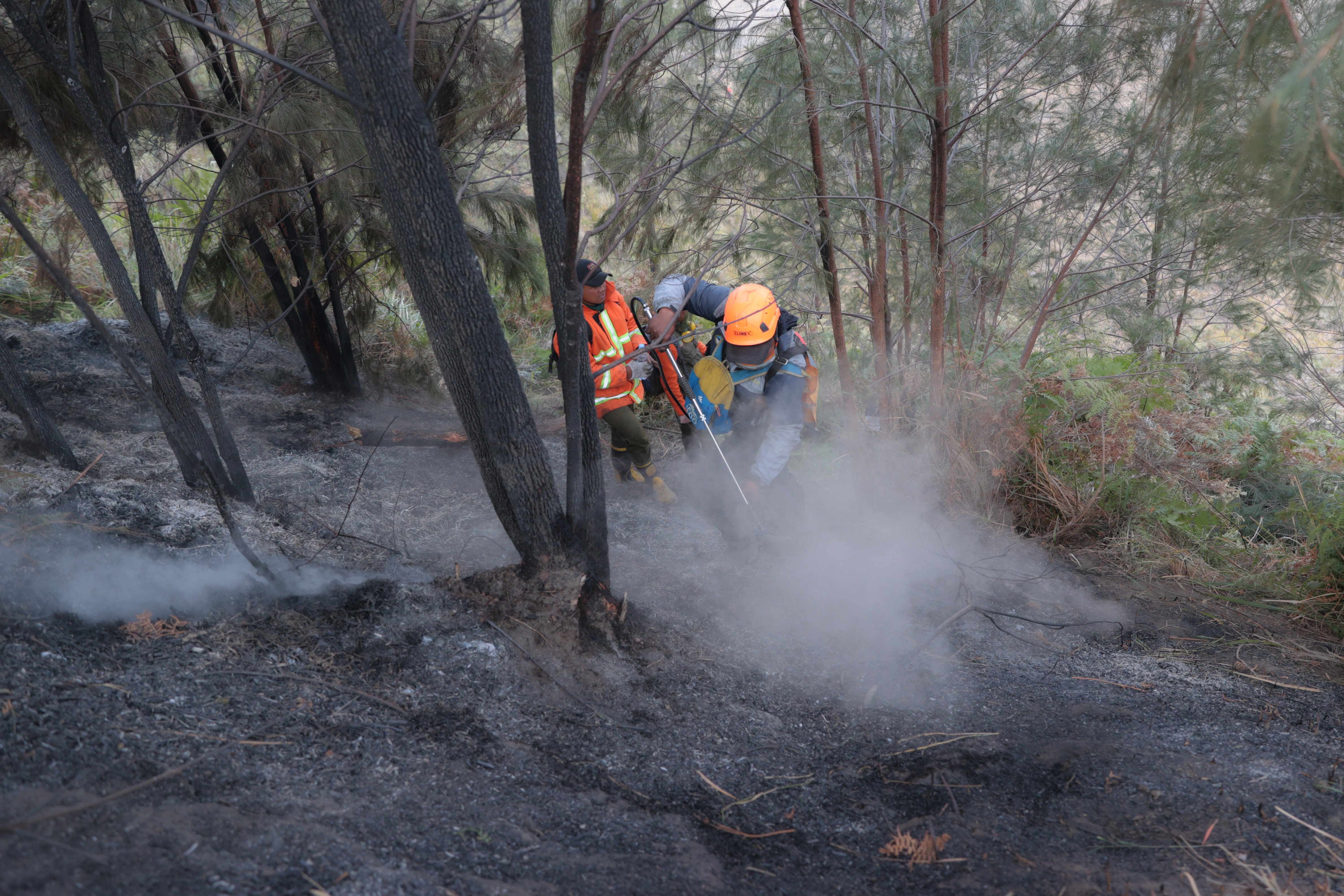 Firefighters attempt to extinguish wildfire near Mount Bromo in Probolinggo, East Java, Indonesia