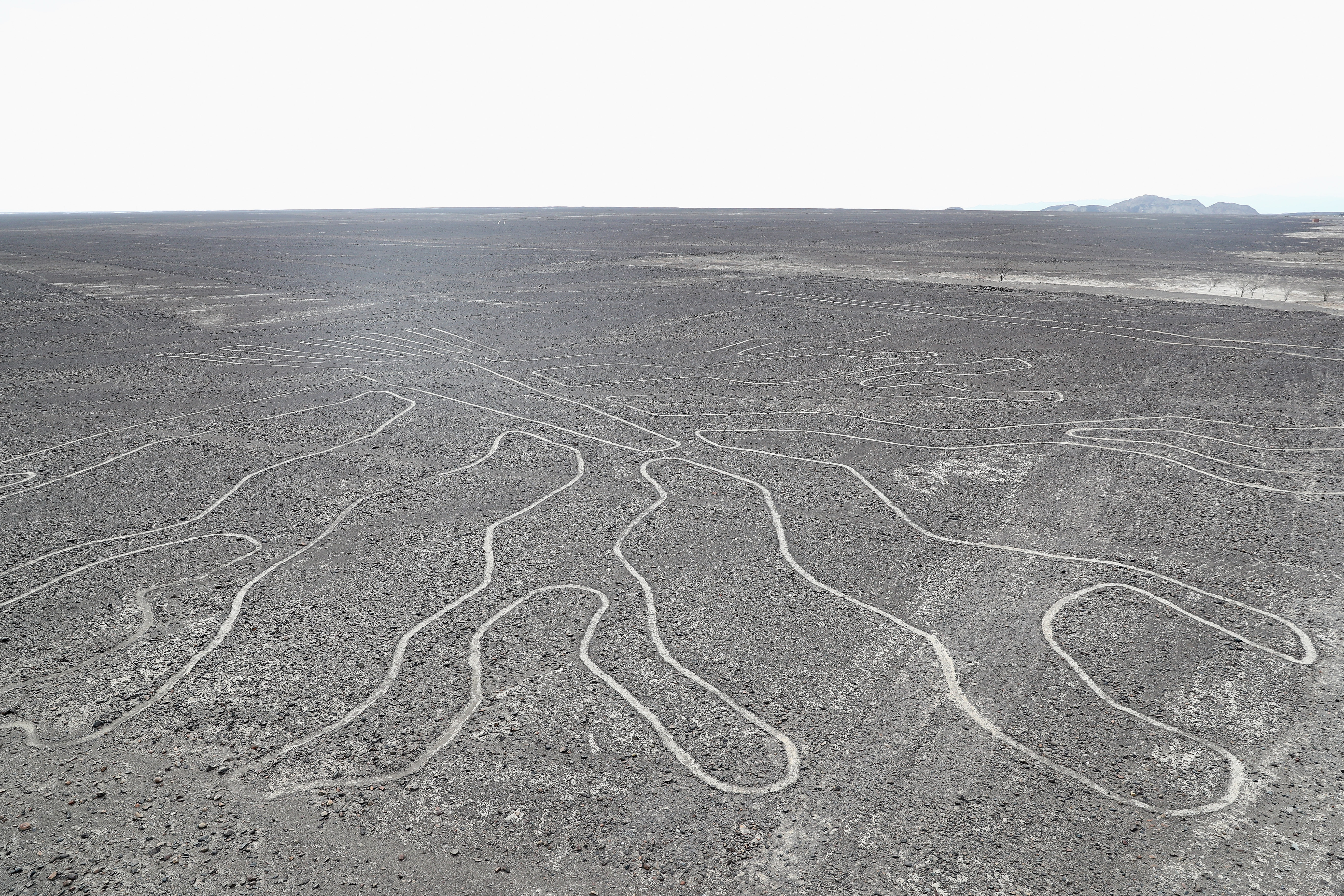 PISCO, PERU - JANUARY 08: A general view of the Ministerio de Cultura Lineas Y Geoglifos De Nasca or Culture Ministry, Nazca Lines, a group of pre-Columbian geoglyphs etched into desert sands taken between Stage Two of the 2019 Dakar Rally between Pisco and San Juan de Marcona on January 7, 2019 in Pisco, Peru. (Photo by Dean Mouhtaropoulos/Getty Images)