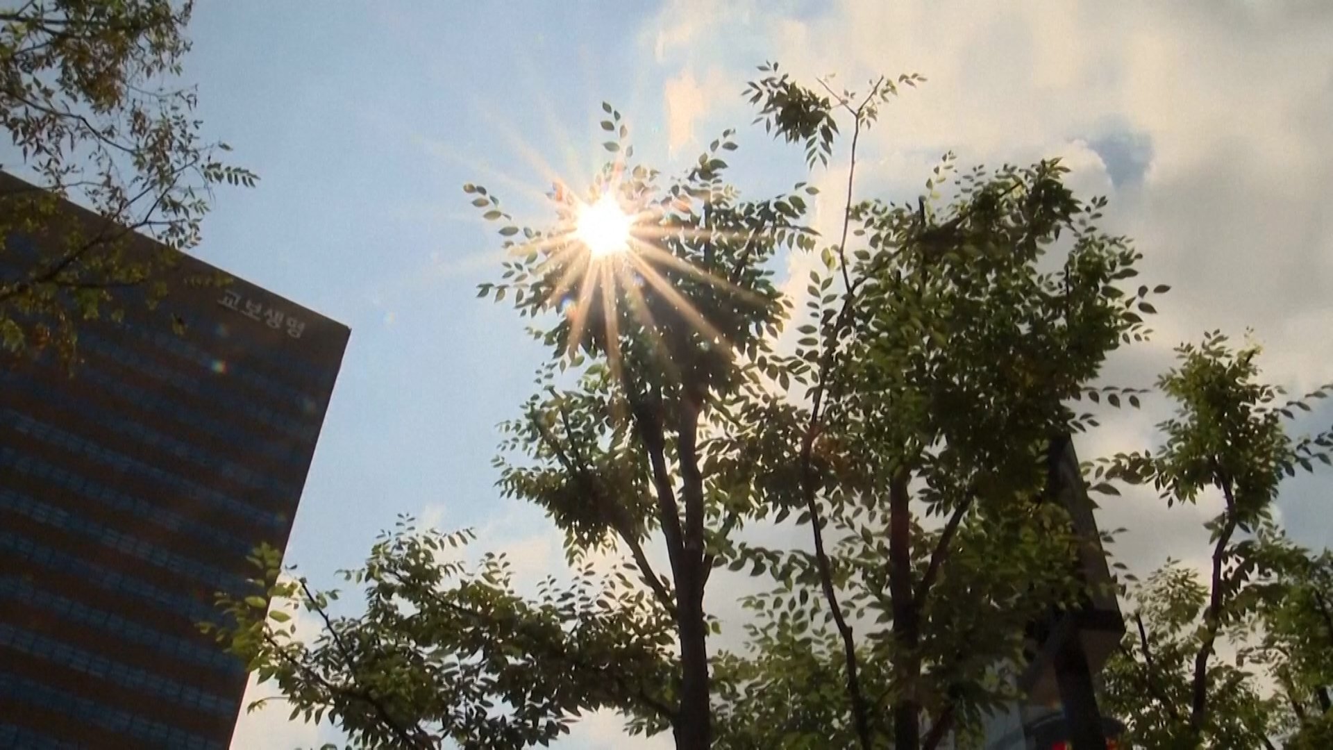 South Korea feels the extreme end of punishing heat wave gripping Northeast Asia [AP]
