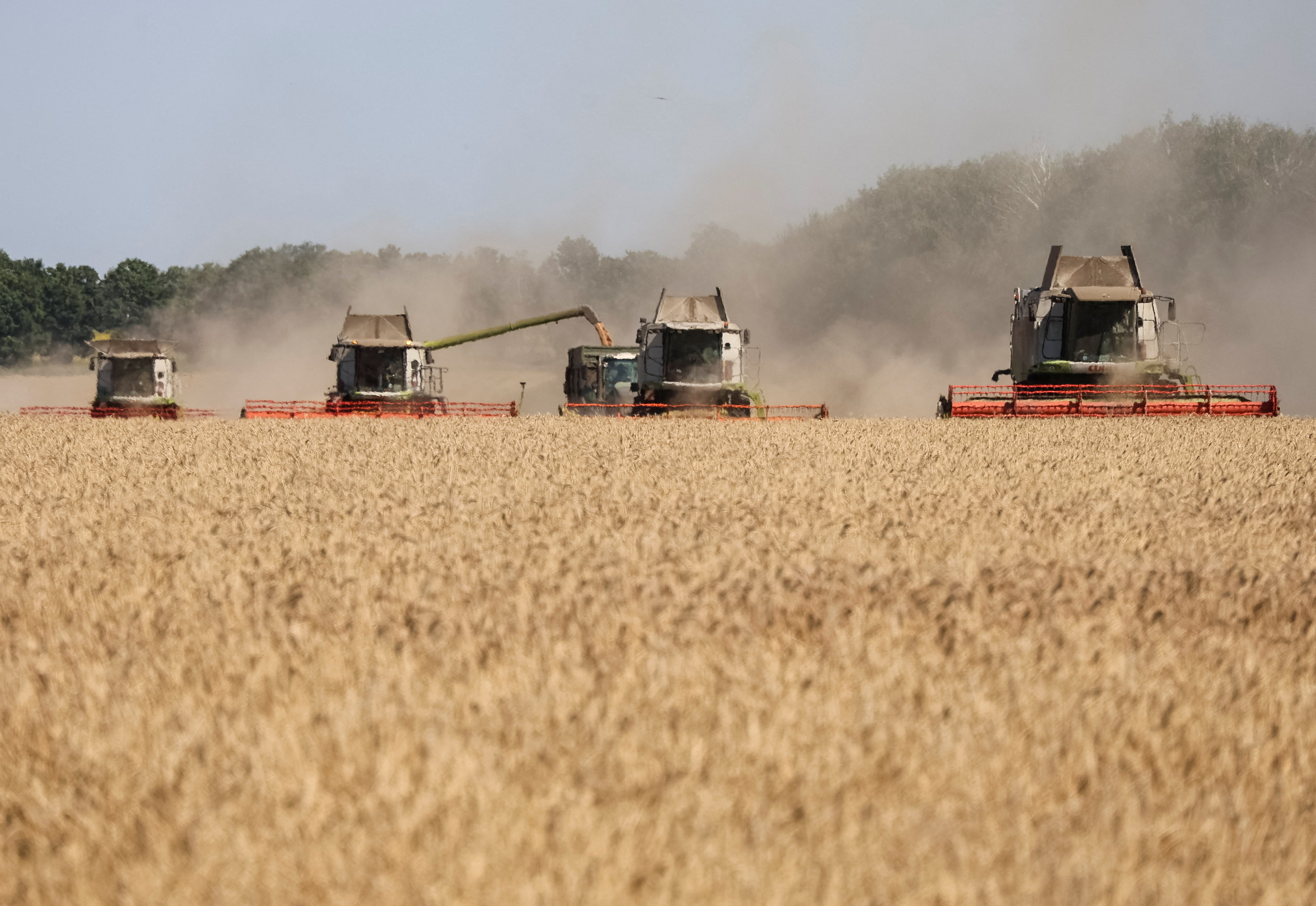 Combines harvest wheat in a field, Ukraine's embattled Kharkiv region [File:Vyacheslav Madiyevskyy/Reuters]