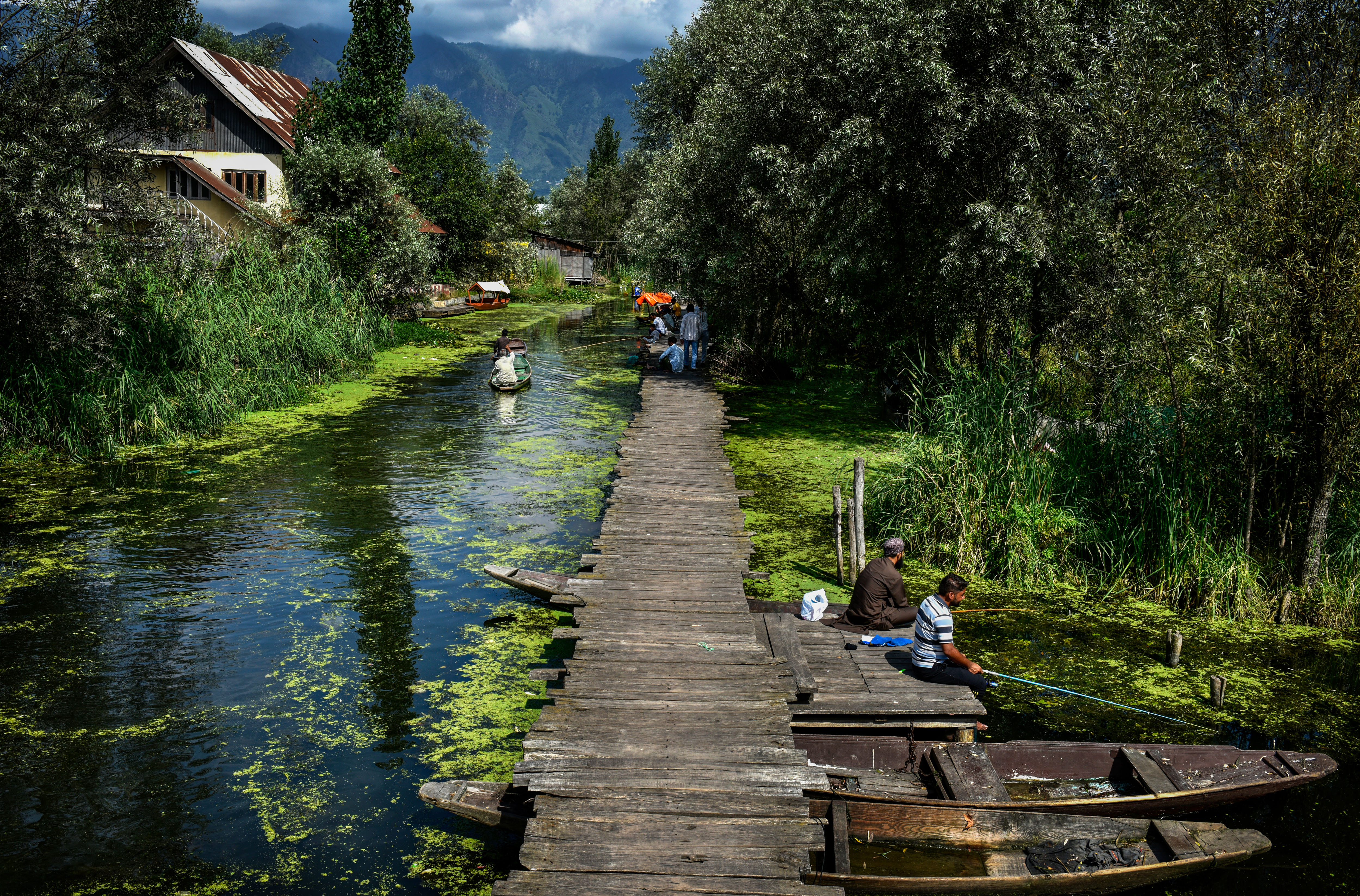 Kashmir's iconic Dal Lake faces environmental and climate challenges