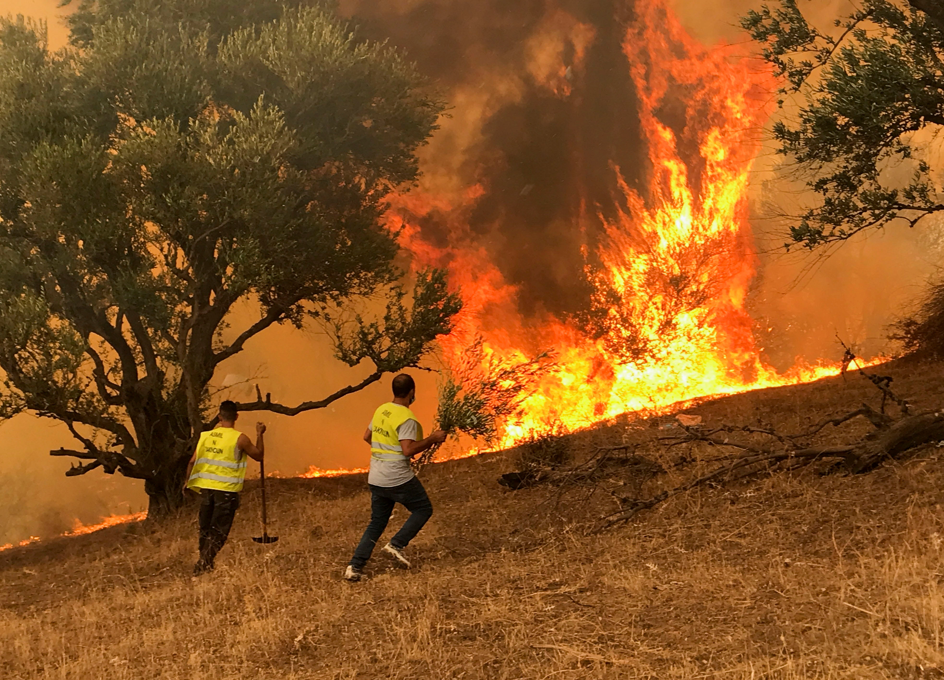 Men attempt to put out a fire in Iboudraren village, in the mountainous Kabylie region of Tizi Ouzou, east of Algiers, Algeria, August 12, 2021