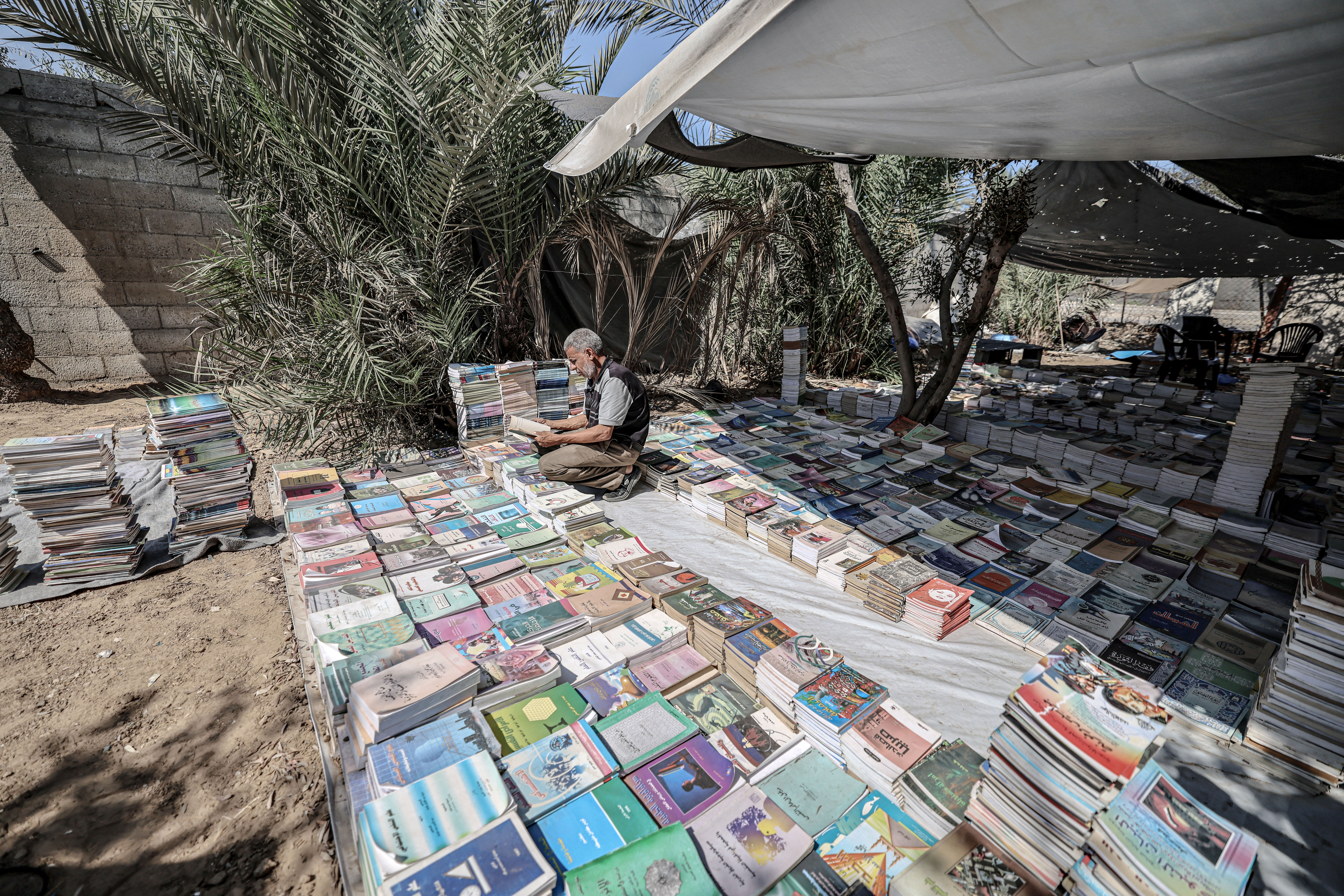 Mohammed Saad sorts through and organises books inside a tent in Deir al-Balah, Gaza.