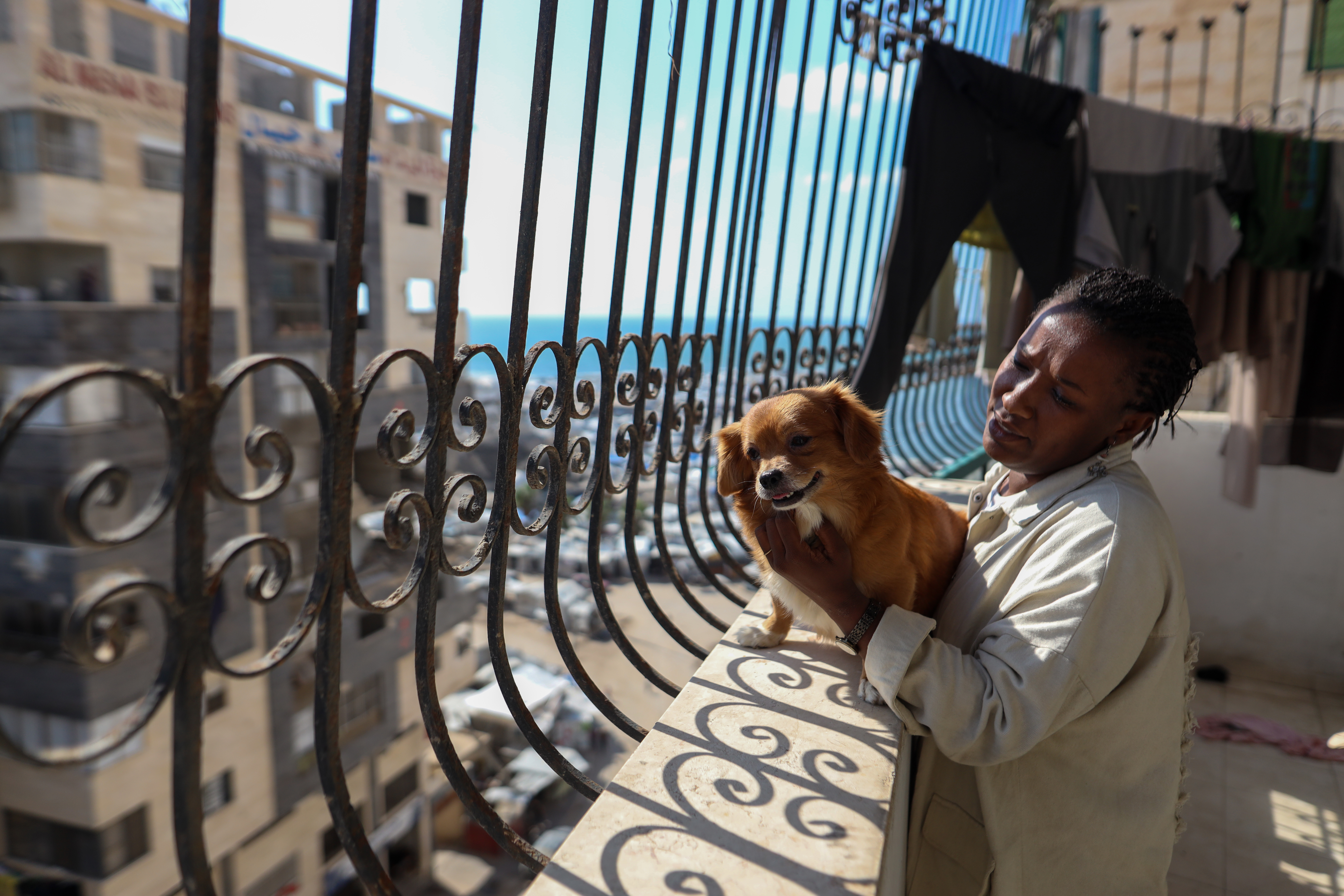 Shahed Abu Khosa - My dog